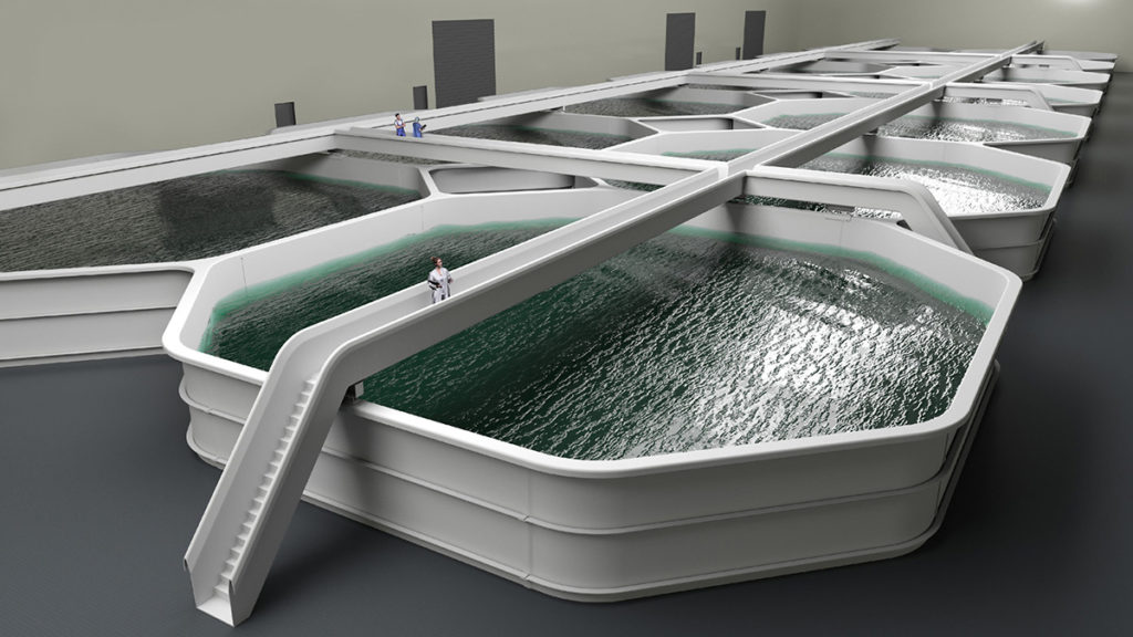 Fish farming tanks — a CSUB Company